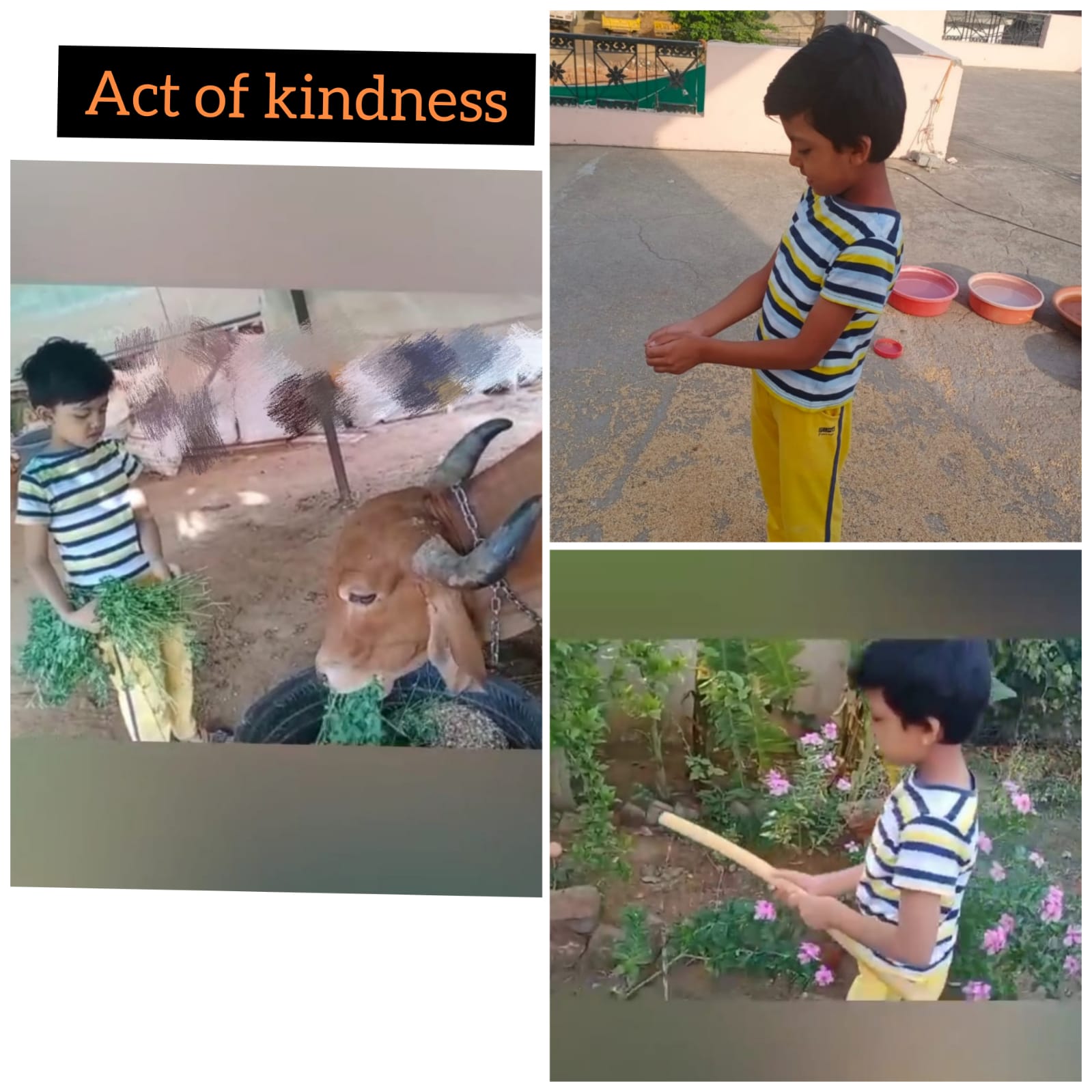 World Kindness Day celebrated in Sanskar School